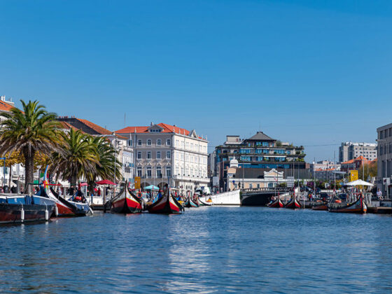 Viver em Aveiro | Vou Mudar Para Portugal