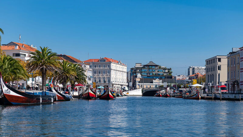 Viver em Aveiro | Vou Mudar Para Portugal