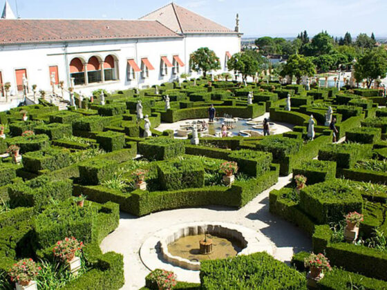 Viver na cidade de Castelo Branco | Vou Mudar Para Portugal